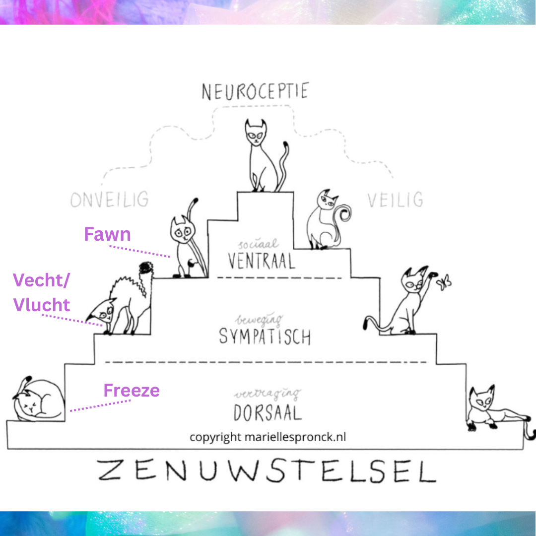 dubbele trap, zenuwstelsel, polyvagaaltheorie, pleasure, meer genieten in bed, mila de bos