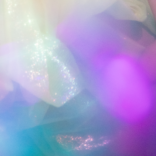 sensuele danscursus mila de bos sensualiteit vrouwelijke kracht